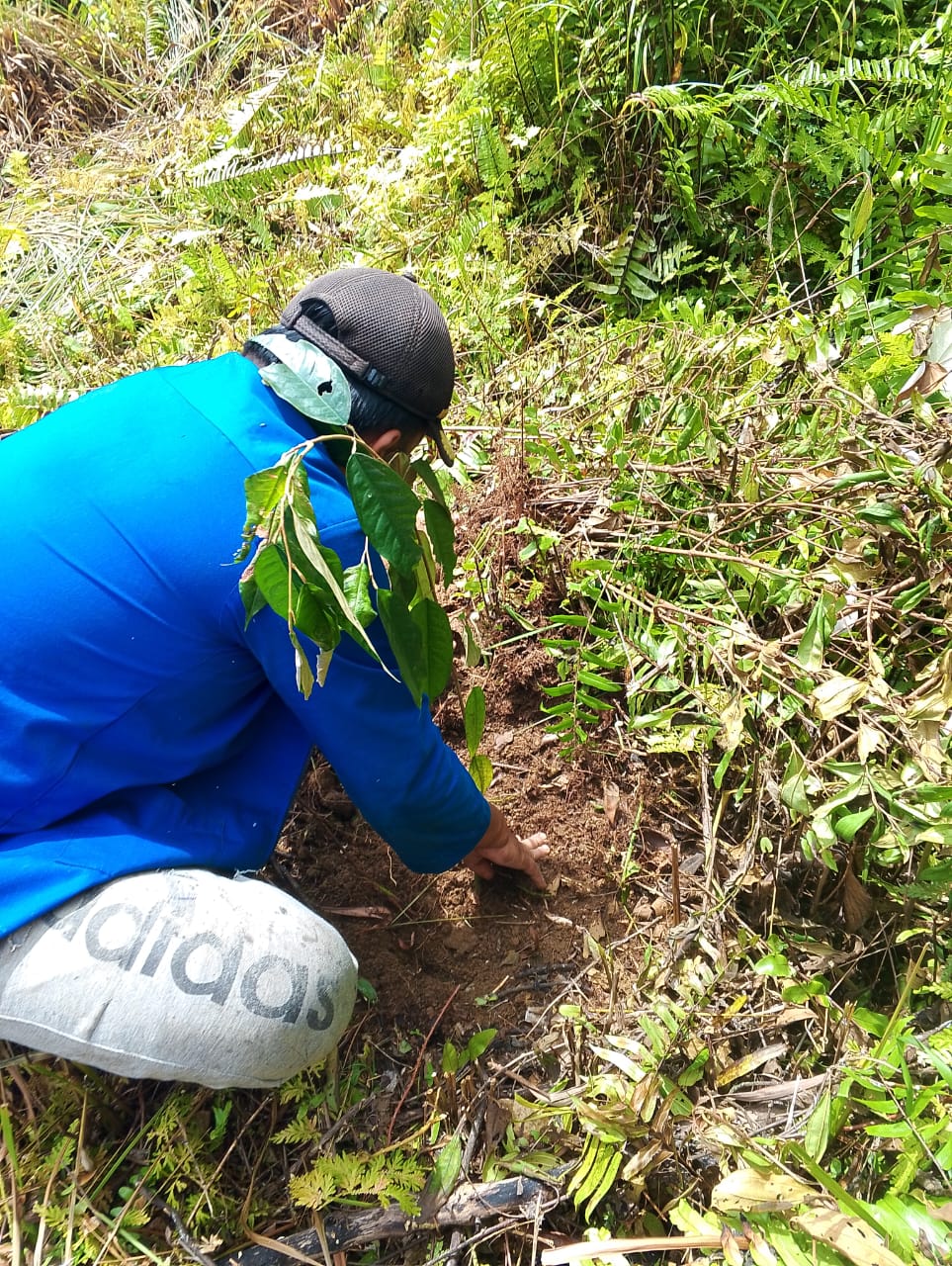 WhatsApp Image 2025-02-11 at 20.34.51 (1)