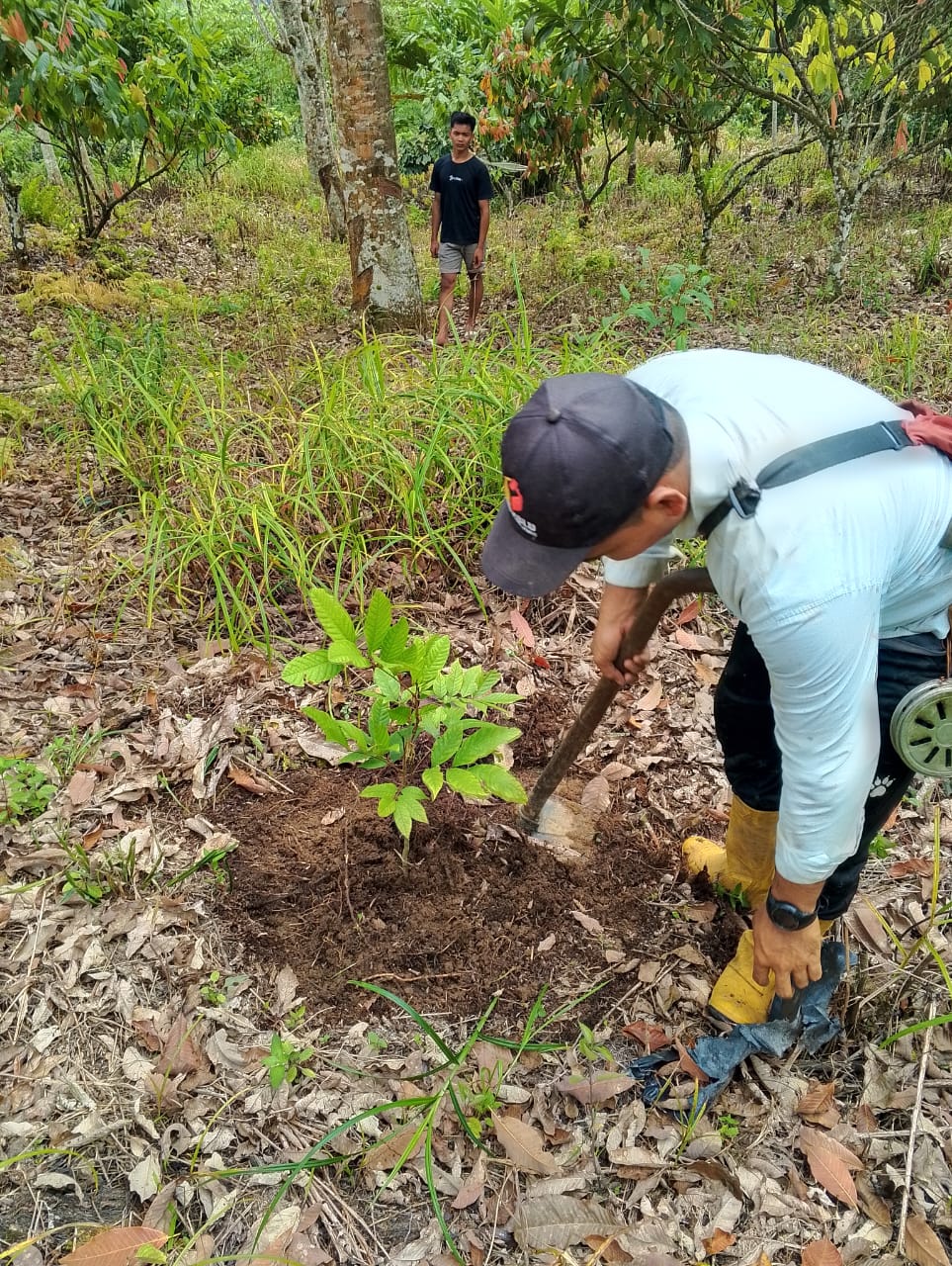 WhatsApp Image 2025-02-11 at 20.36.56