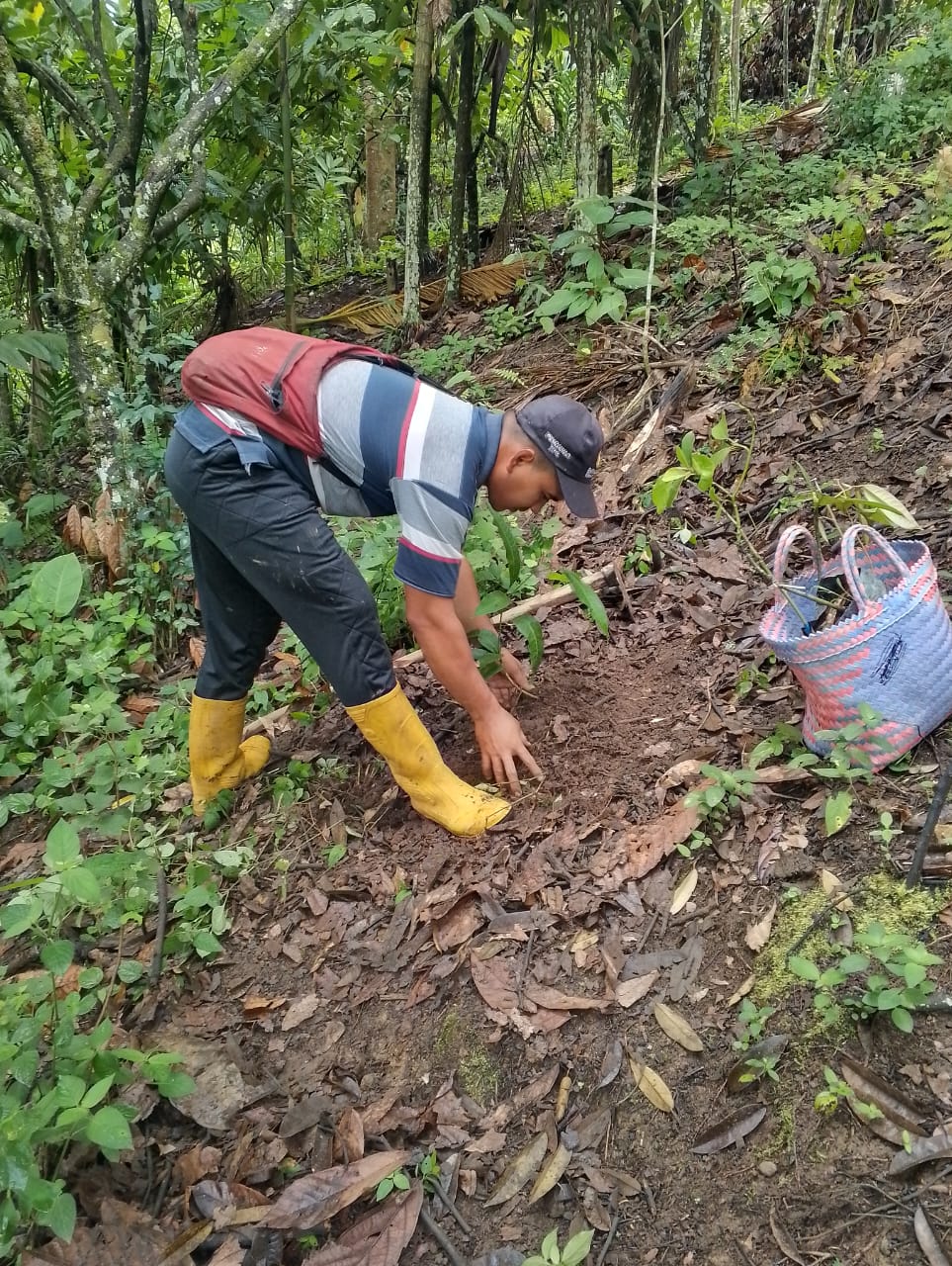 WhatsApp Image 2025-02-11 at 20.40.32 (2)